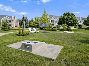 Corn hole / bags game